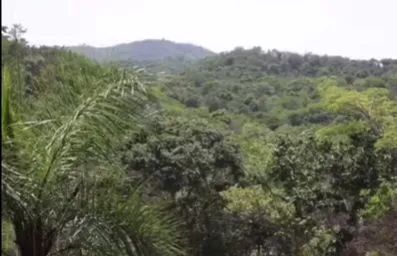 Terreno a 30 min de BH