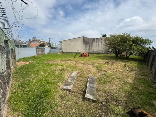 Aluguel | Terreno para locação em Capoeiras - Foto 3
