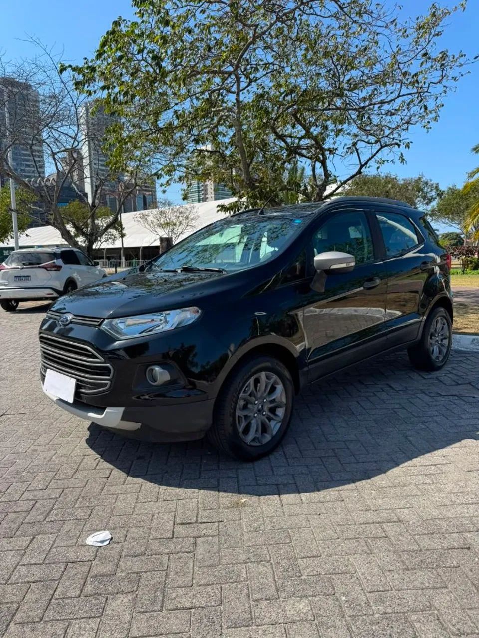 Ford Ecosport EcoSport FREESTYLE 1.6 16V Flex 5p Aut. 2017