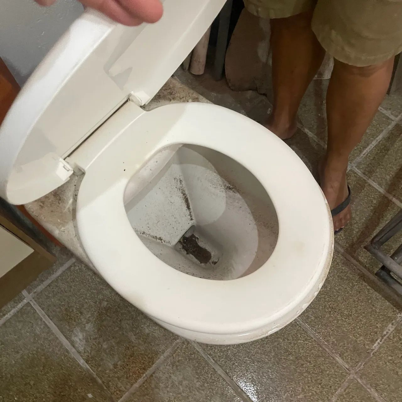 2 assentos sanitário marca CELITE  - Foto 3