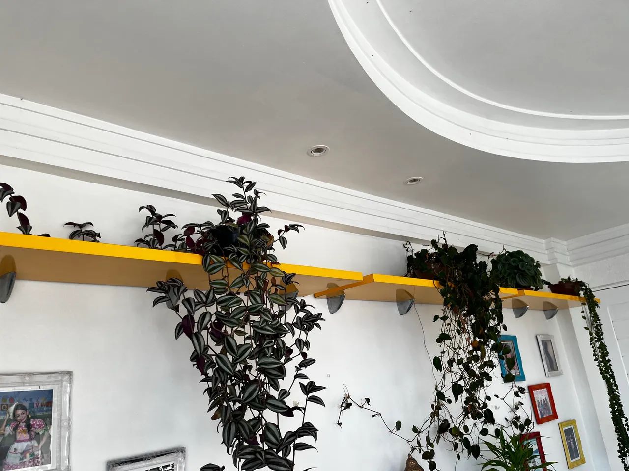 Prateleiras de MDF - Foto 2