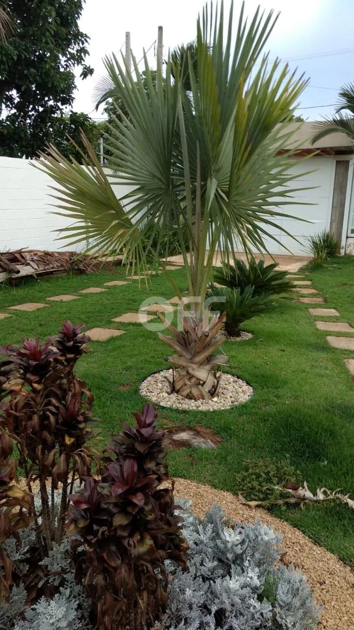 chácara - Chácaras Acapulco - Nova Odessa - Foto 5