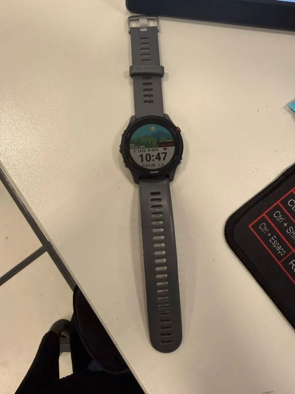 Garmin Forerunner 255