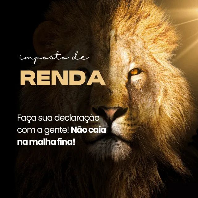 Contabilidade - Foto 2