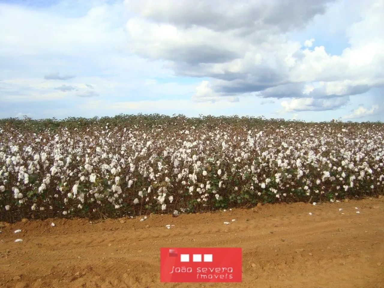 Fazenda para Venda em Sinop - Foto 3