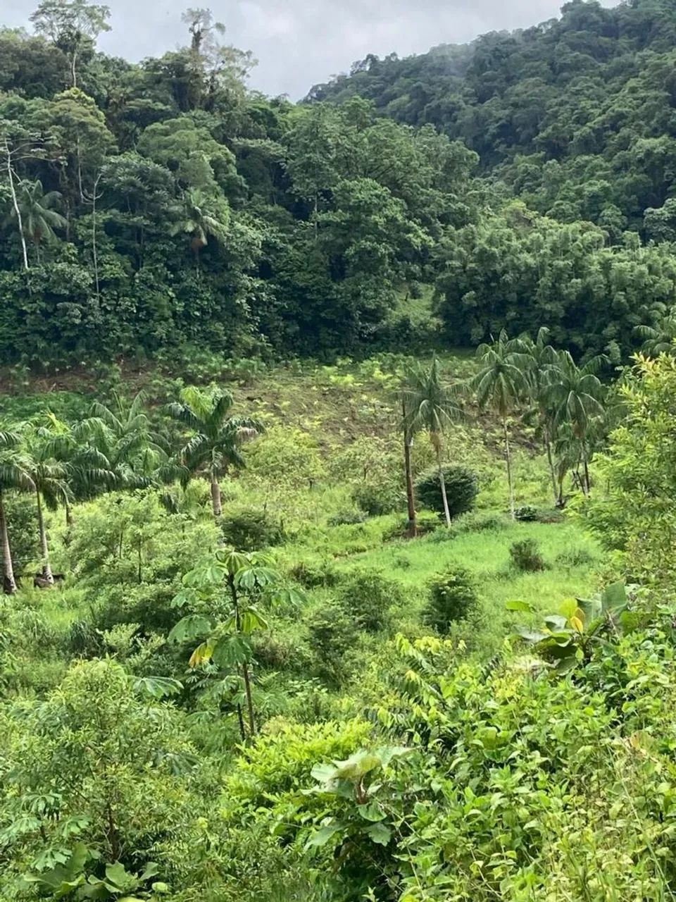 Fazenda - Foto 3