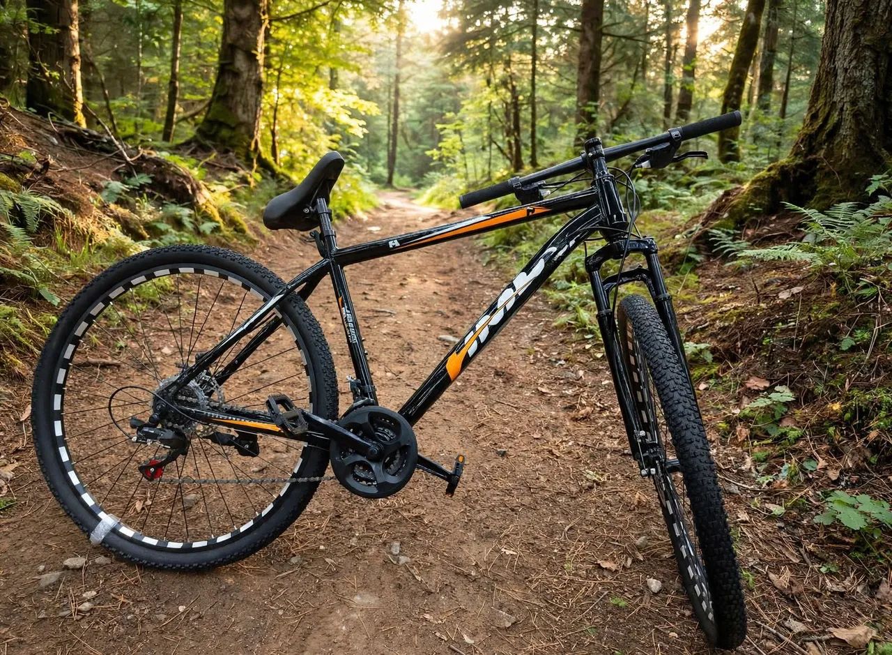 Bicicleta na caixa
