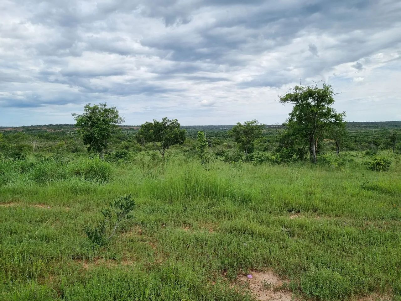 Fazenda barata em Urucuia MG  - Foto 3