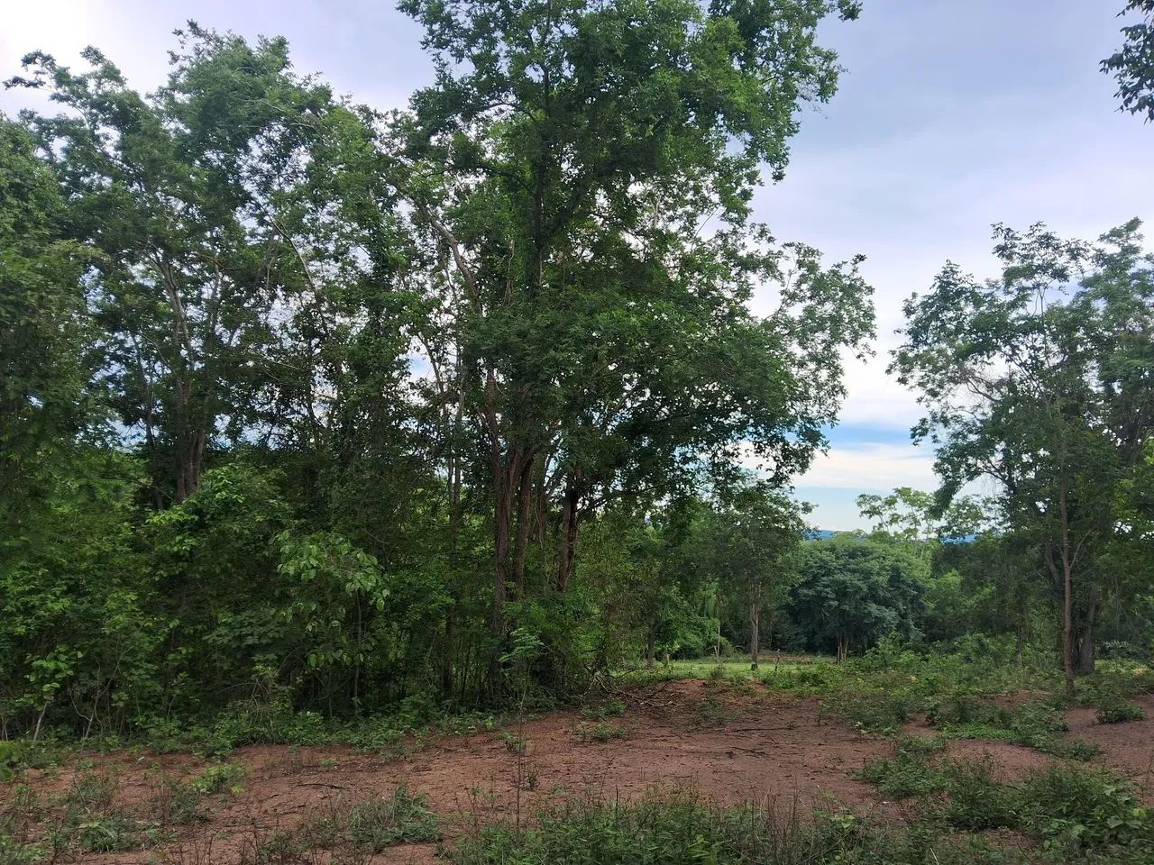 Chacara Taboco, Corguinho MS - Foto 5