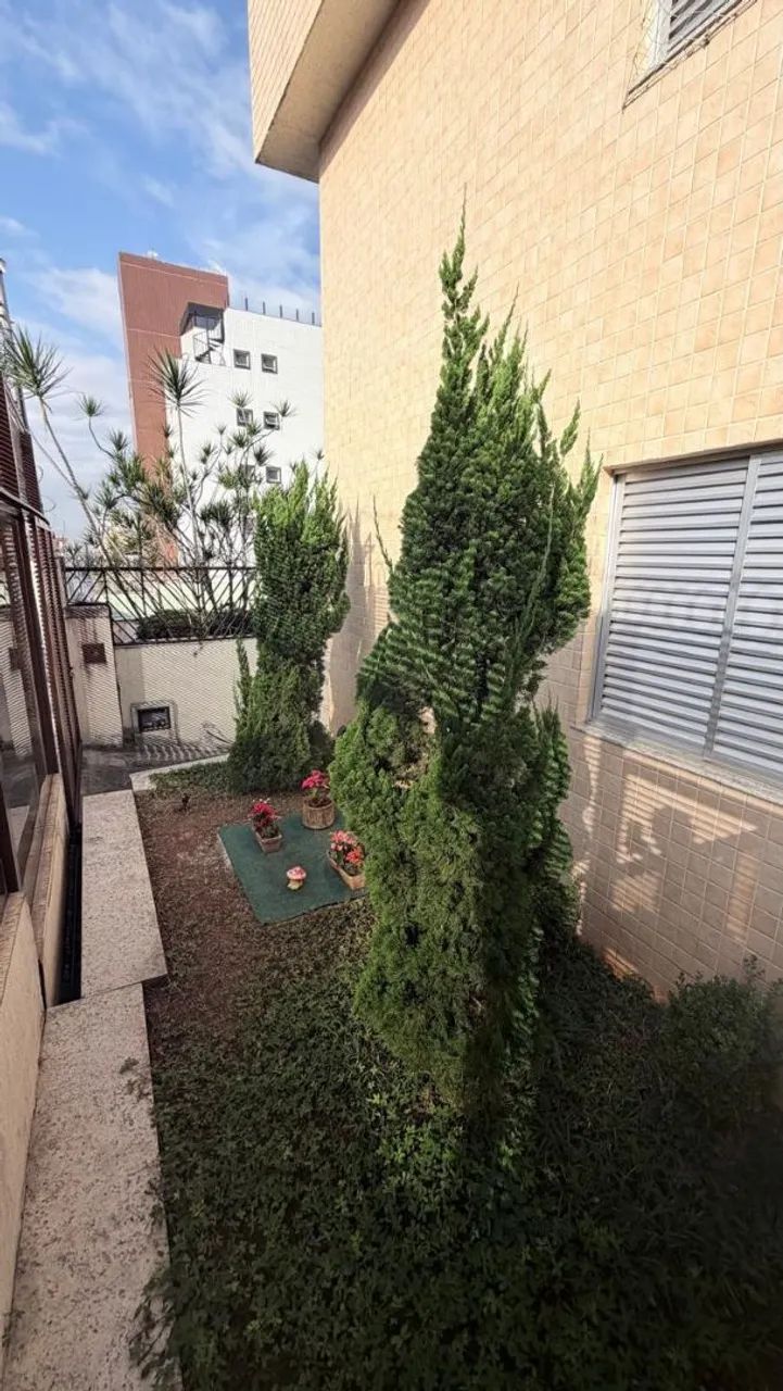 Pinheiros  - Foto 2
