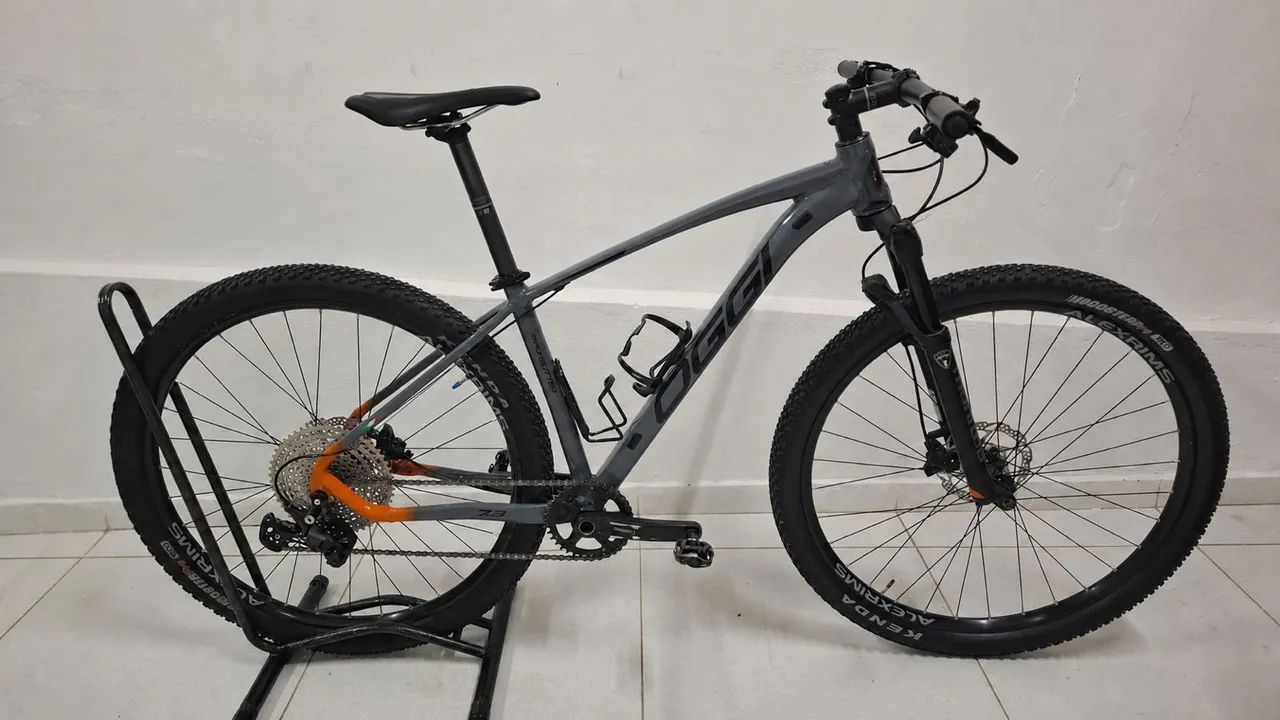 Bicicleta oggi 7.3