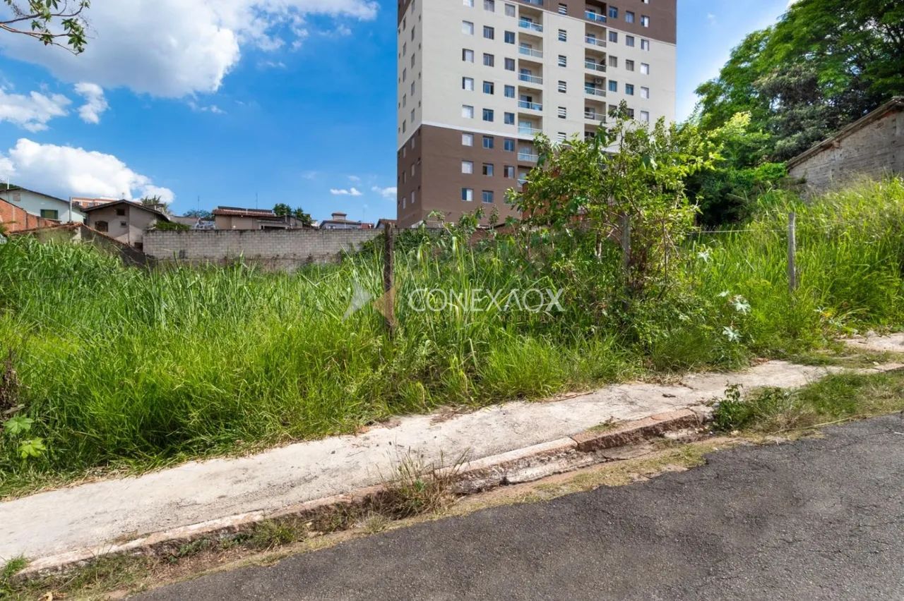 terreno - Vila João Jorge - Campinas - Foto 3