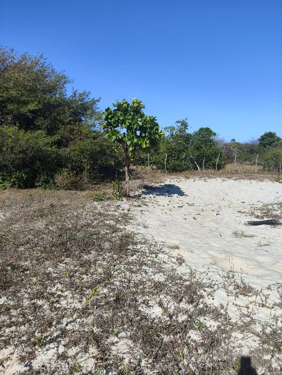 Terreno Praia das Fontes 480m2 - Foto 5