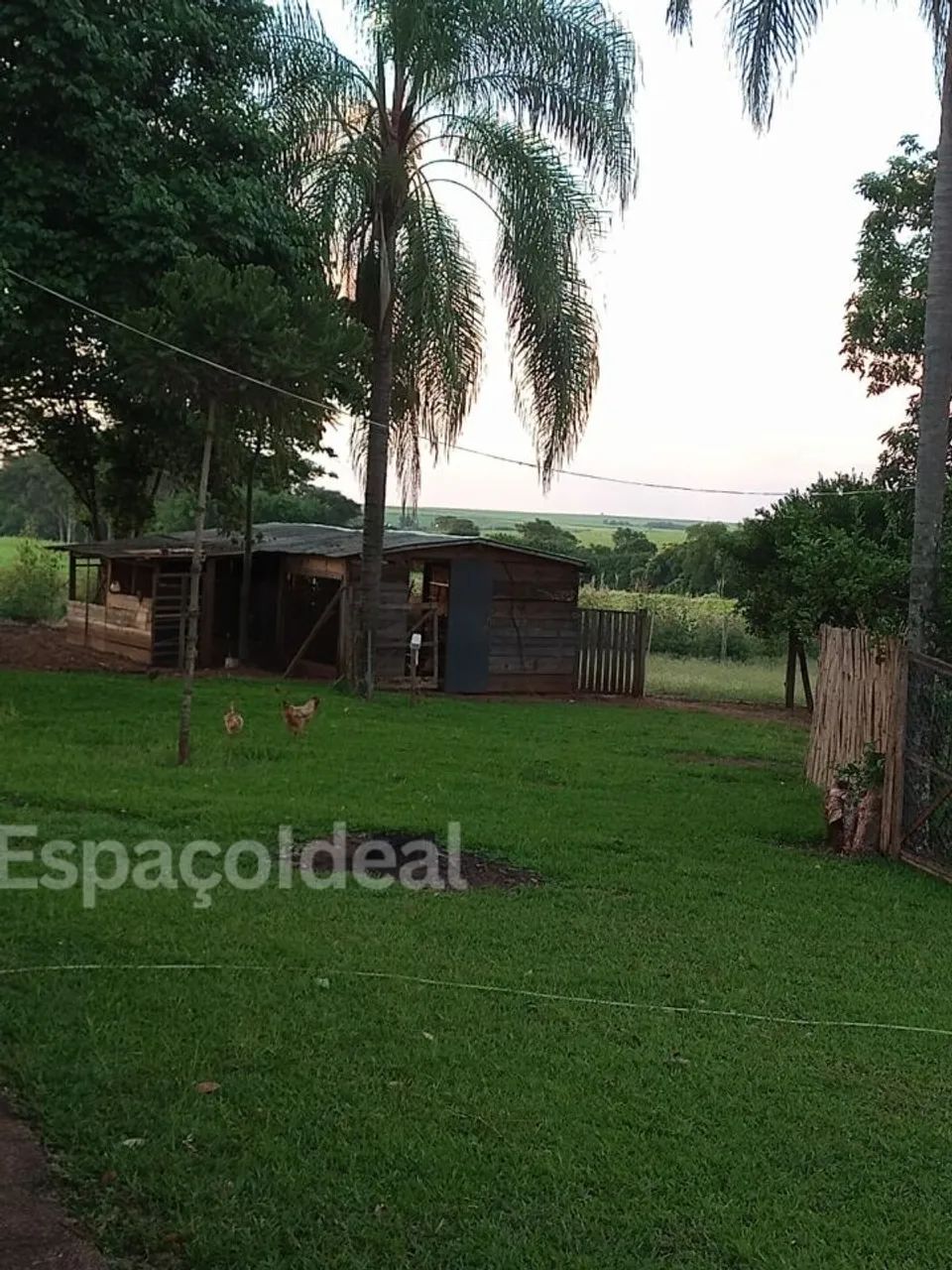 Vende se e Aluga Residencia em um sitio na Farturinha (lençois paulista) - Foto 3