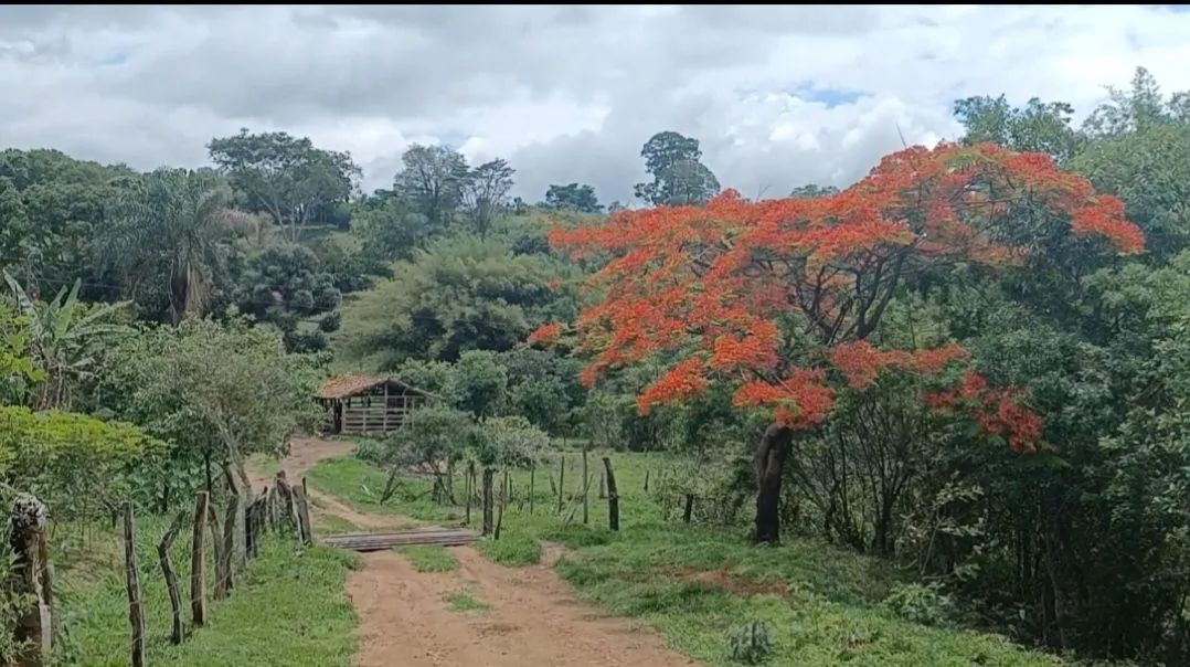 Excelente terreno a 17 km do inhotim!!! - Foto 5