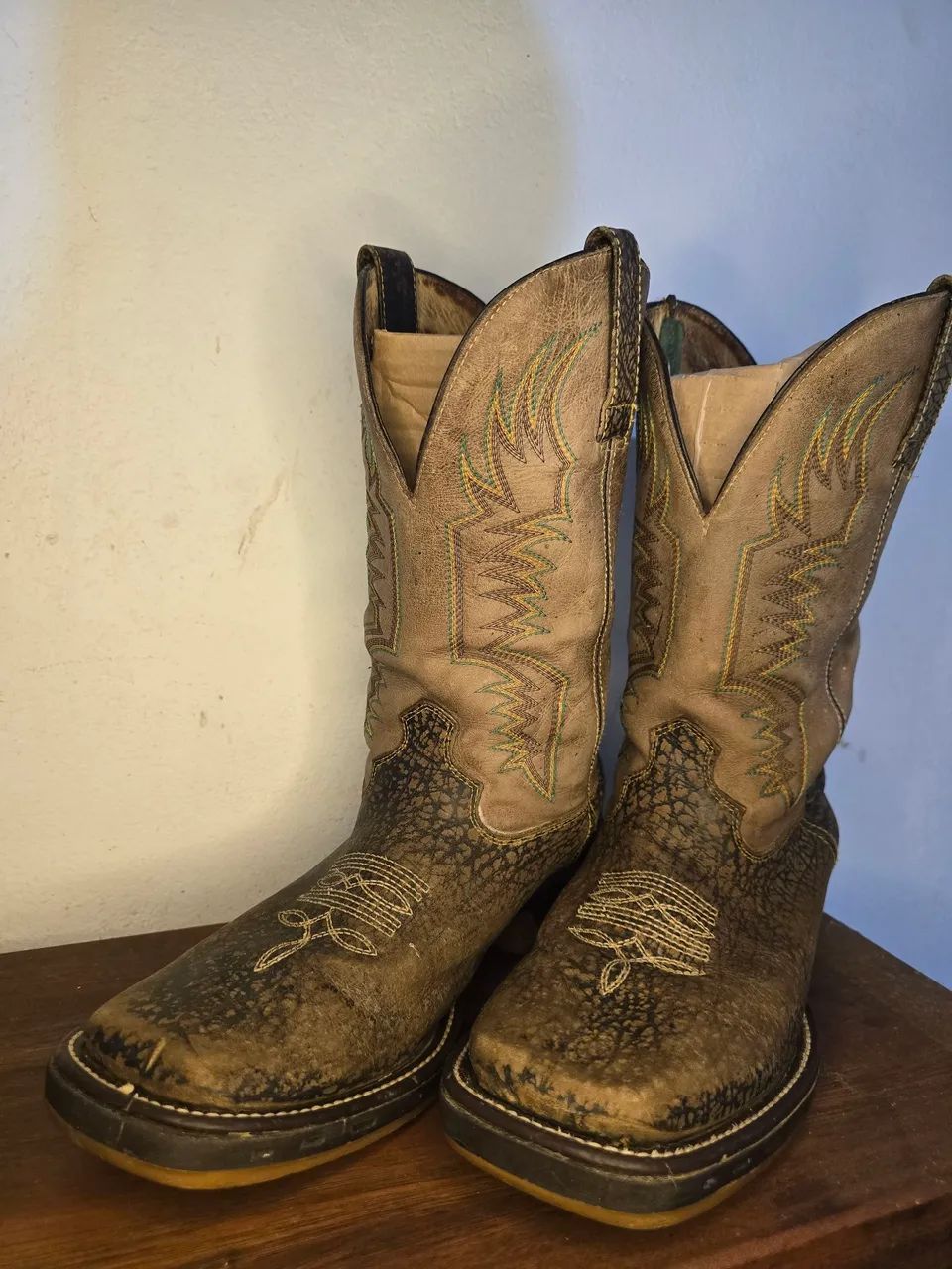 Bota Texana 44