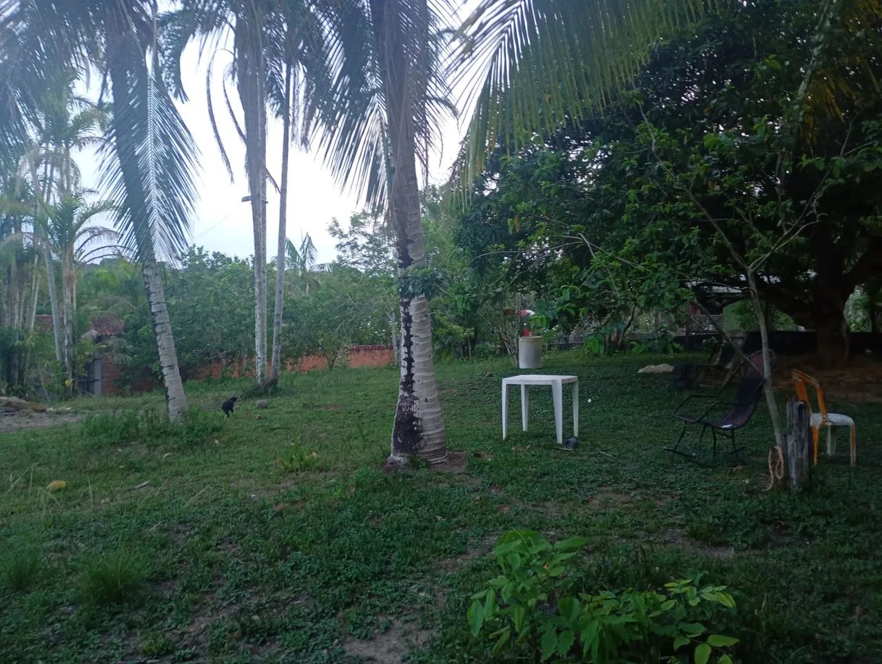  SÍTIO DOS SONHOS R$ 240.000 - Foto 4