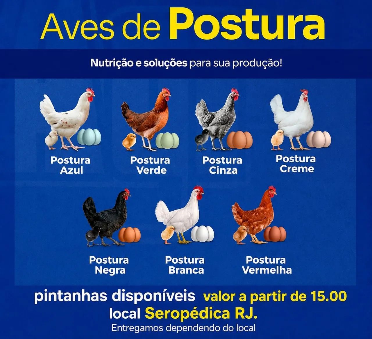 Frangas 