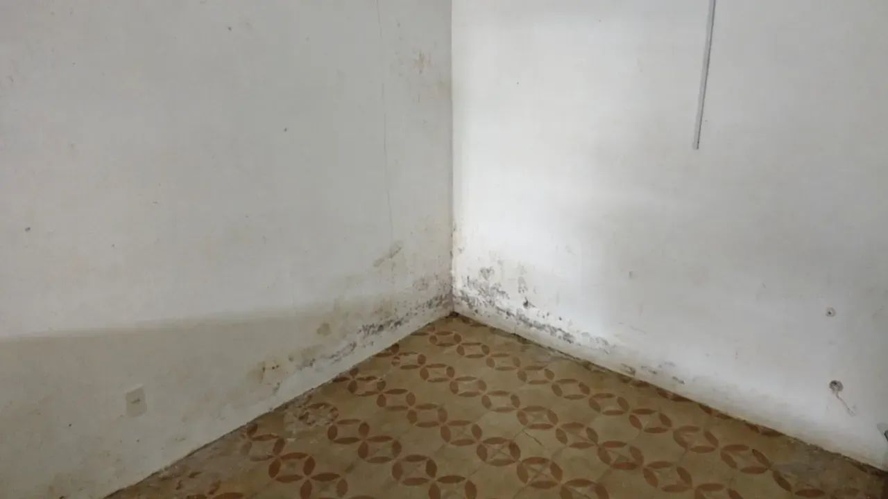 Ponto comercial rua passeio Centro - Foto 4