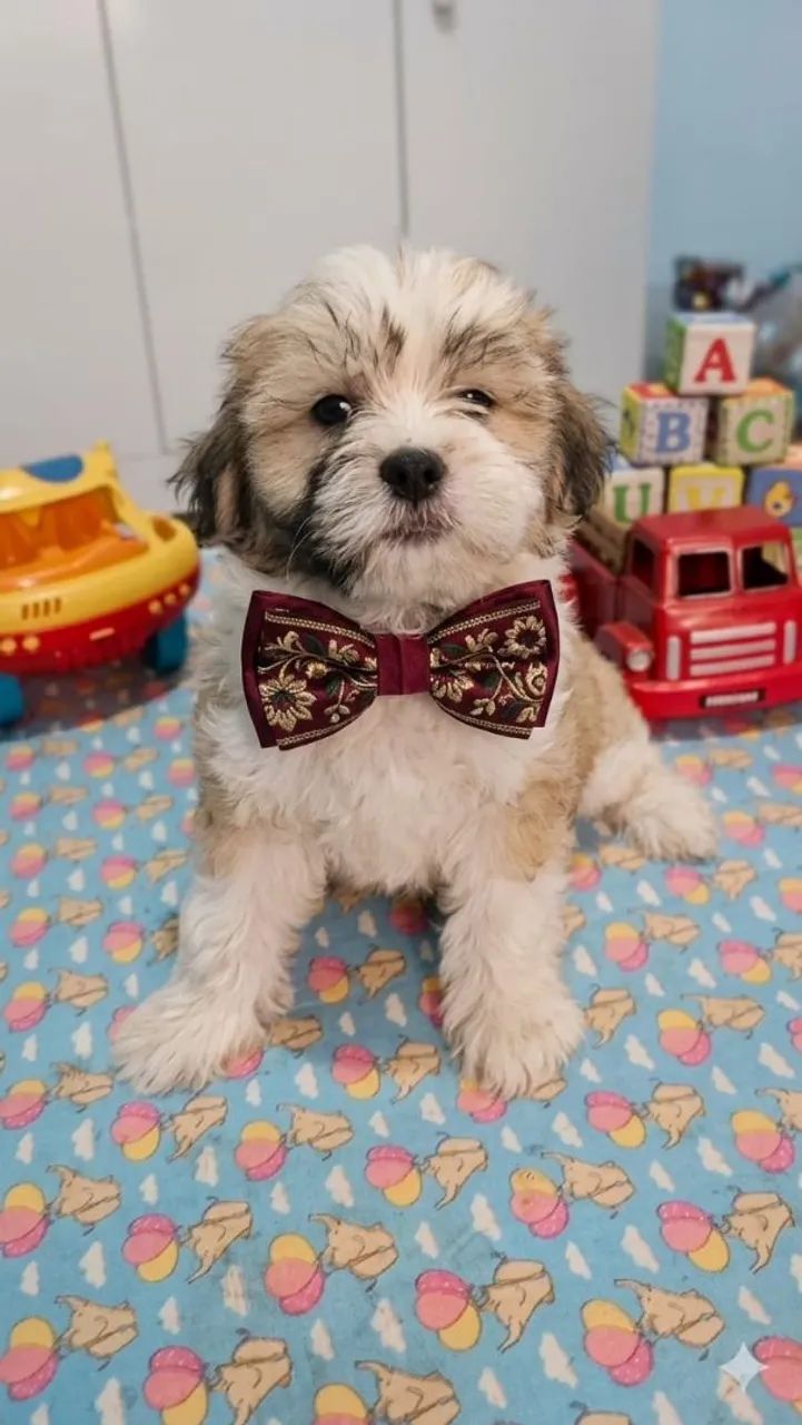 Baby Pets Baby - Foto 3