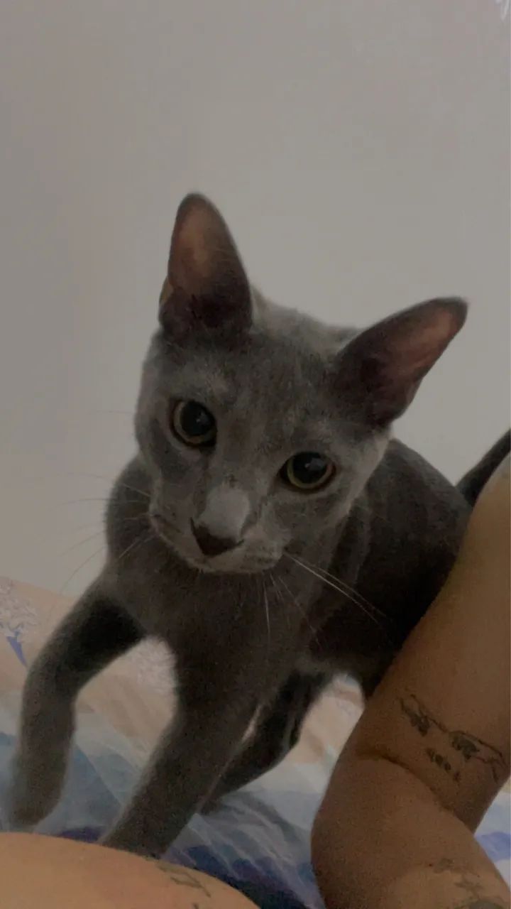 Doação  - Foto 2