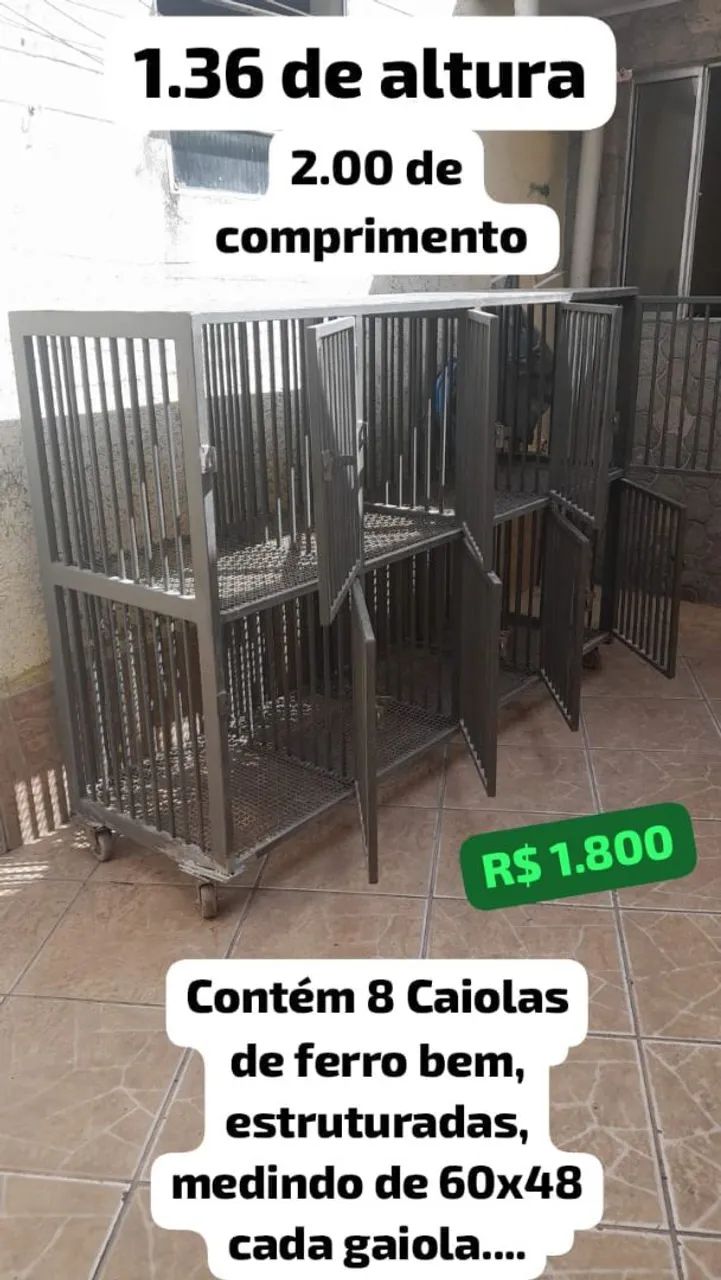 Gaiola de Ferro segura com 8 estações de canil  - Foto 4