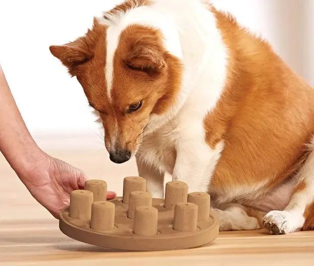 Jogo Tabuleiro, Brinquedo Interativo, Quebra-cabeça, Enriquecimento Ambiental para cães  - Foto 2