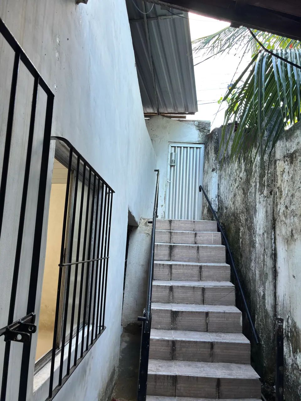 Foto - Recife - Cajueiro