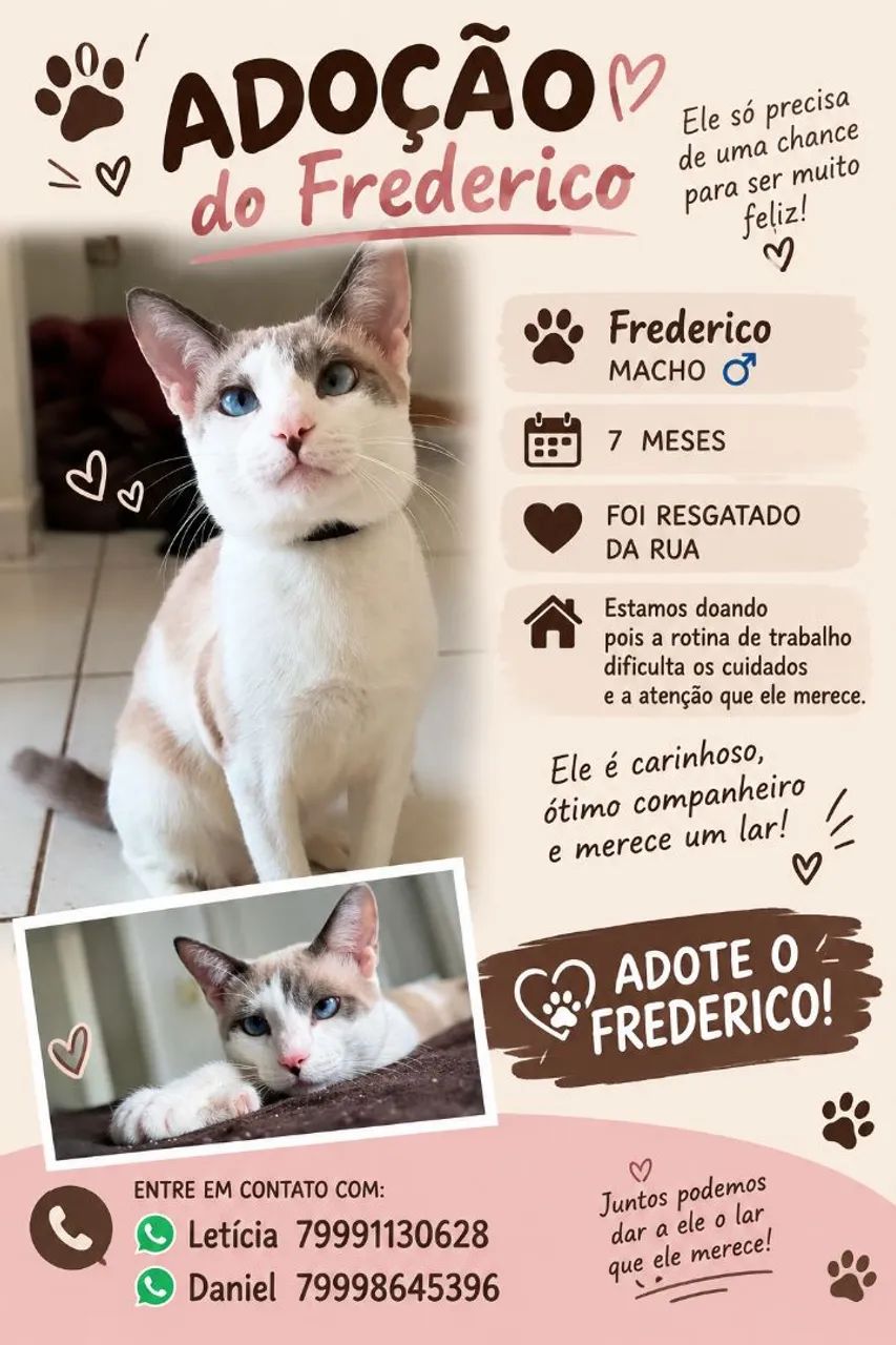 Adoção responsável 