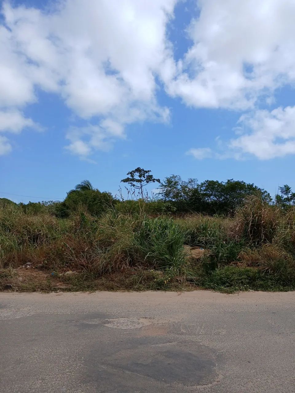Terreno em frente ao Prime 2 - Foto 4
