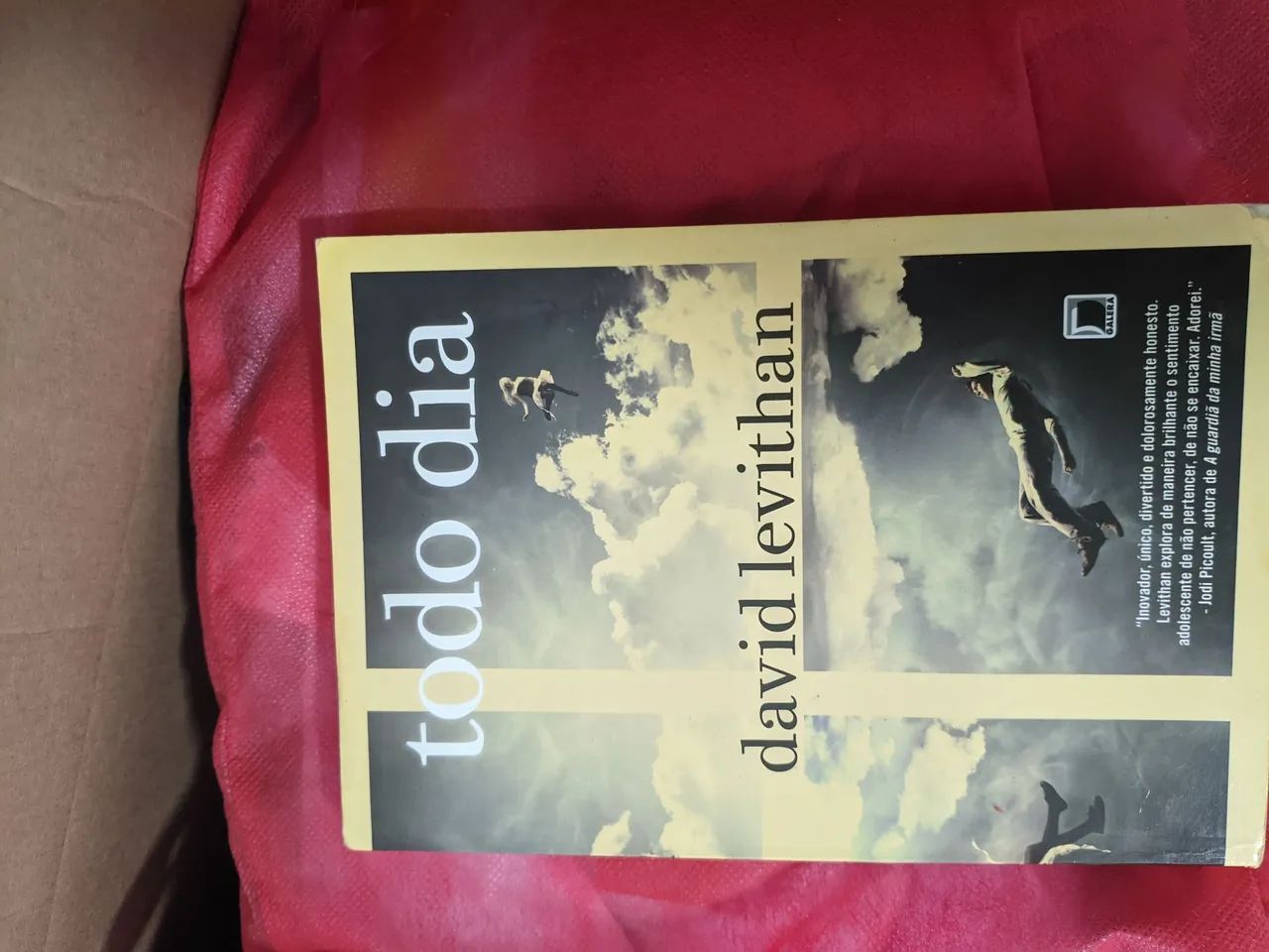 Livro - Todo dia | David Leviathan 