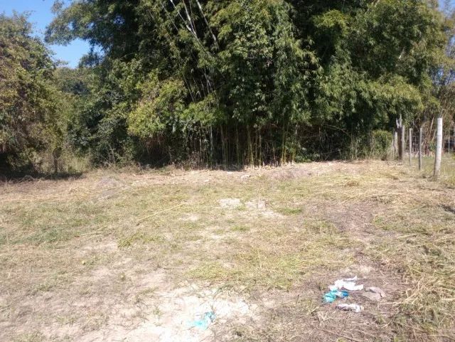 Terreno 1000 m2 = Paudalho = Piracicaba  - Foto 3