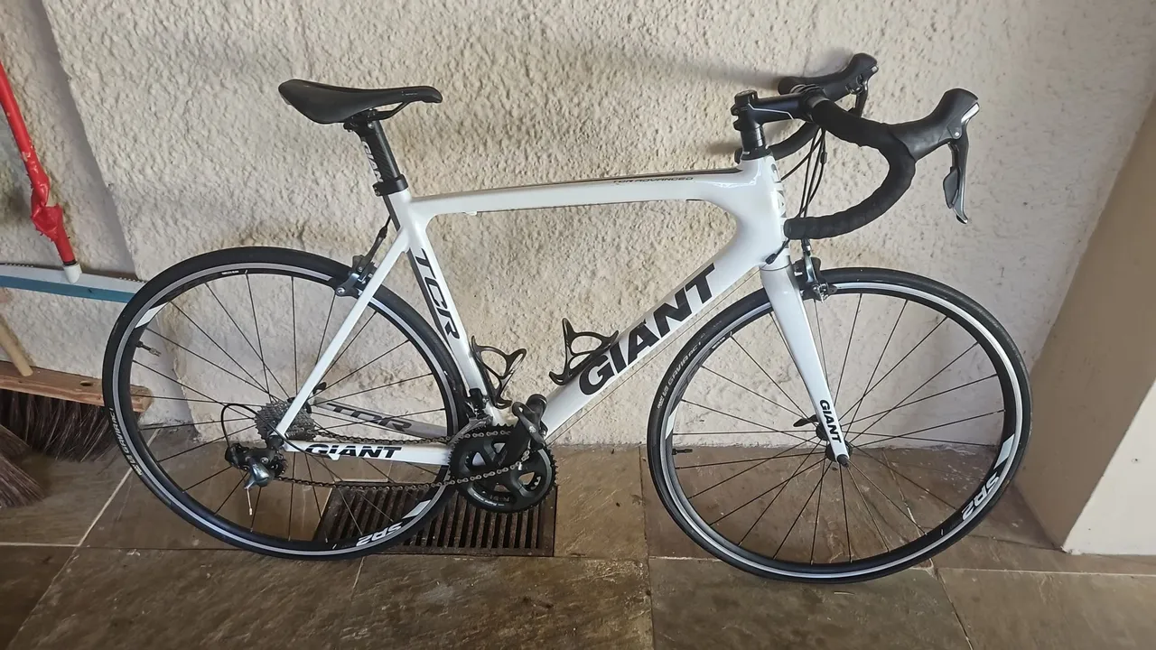giant tcr
