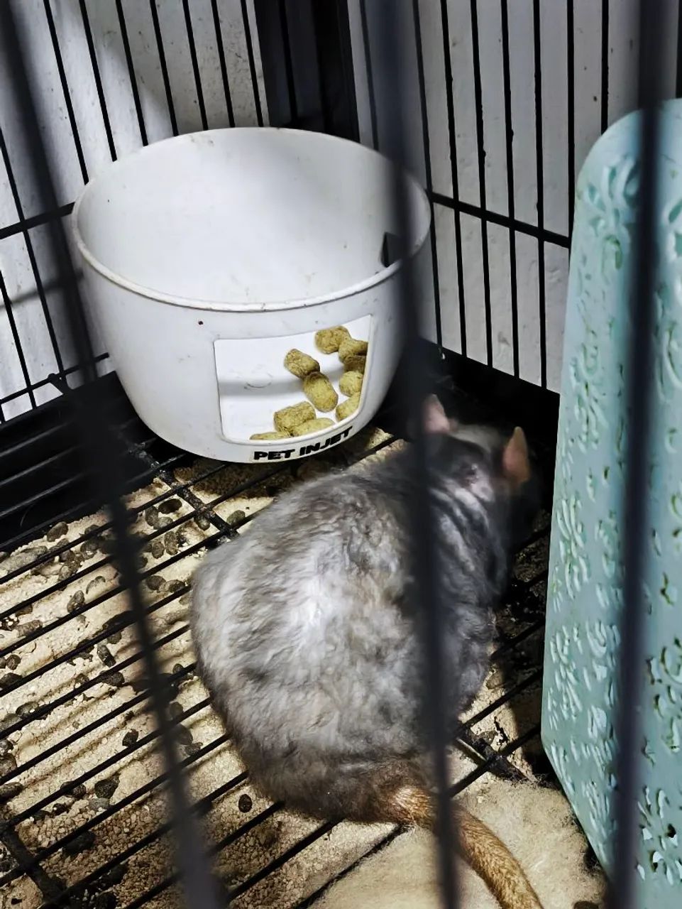 Doação Twister - Foto 2