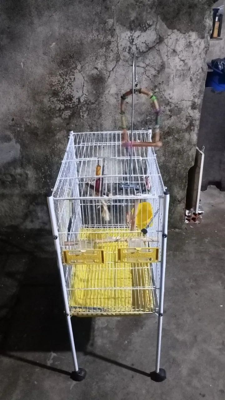 Gaiola viveiro para pássaros  - Foto 2