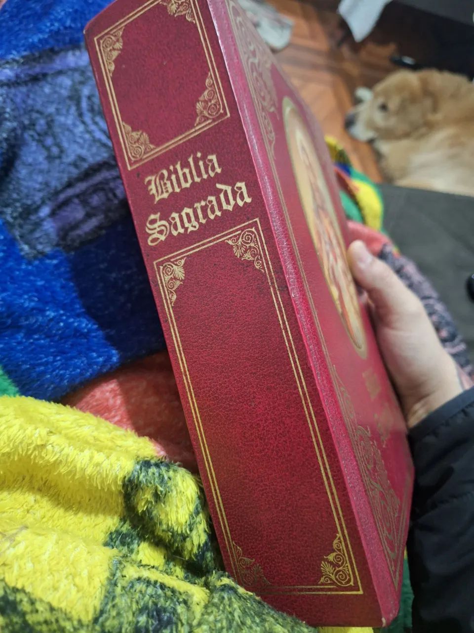 Biblia sagrada Nossa Senhora - Foto 2
