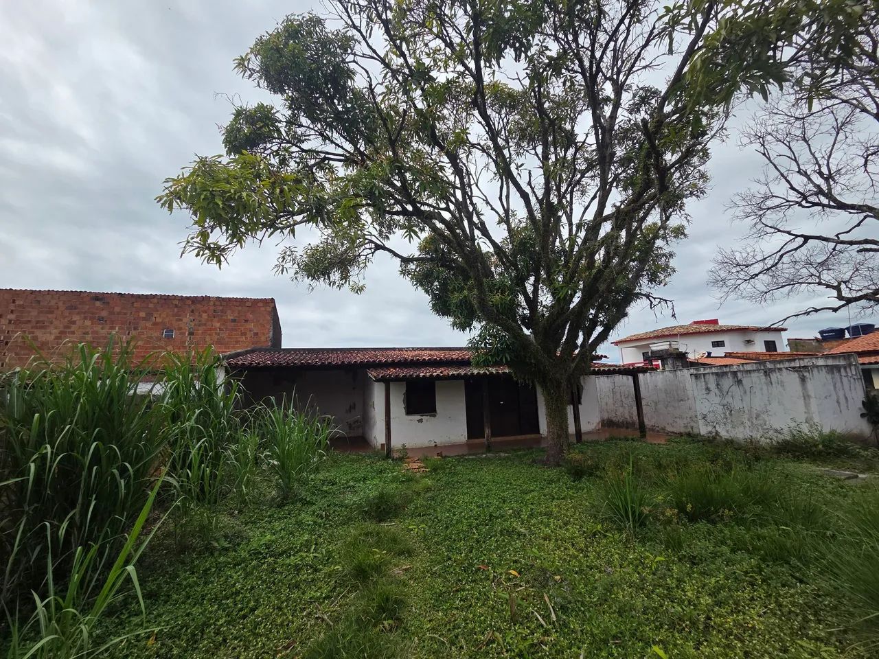 Terreno em cabuçu - Foto 4