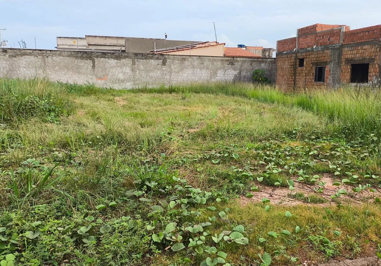 (Ágil) Terreno 10x25 Cidade Jardim  - Foto 2