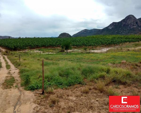 Sítio à venda em Ruy barbosa, Itaberaba cod:FA00004 - Foto 2