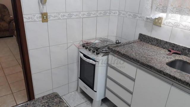 Apartamento para alugar com 2 dormitórios em Campos eliseos, Ribeirao preto cod:L12635 - Foto 11