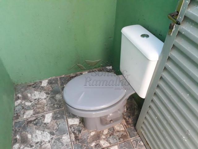 Loja comercial para alugar em Vila monte alegre, Ribeirao preto cod:L9391 - Foto 6