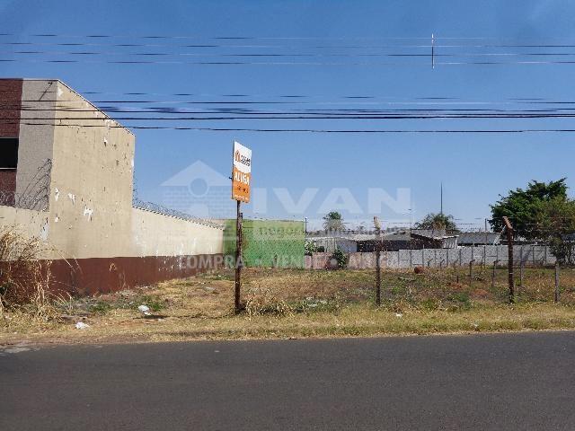 Terreno para alugar com 0 dormitórios em Custódio pereira, Uberlândia cod:693450