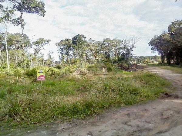 Terreno à venda em Cohapar, Guaratuba cod:125331 - Foto 4