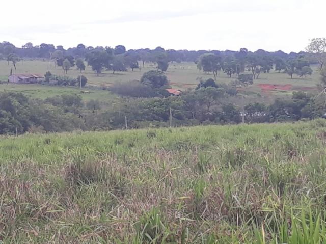 FAZENDA A VENDA EM NIOAQUE - MS (Pecuária) - Foto 6