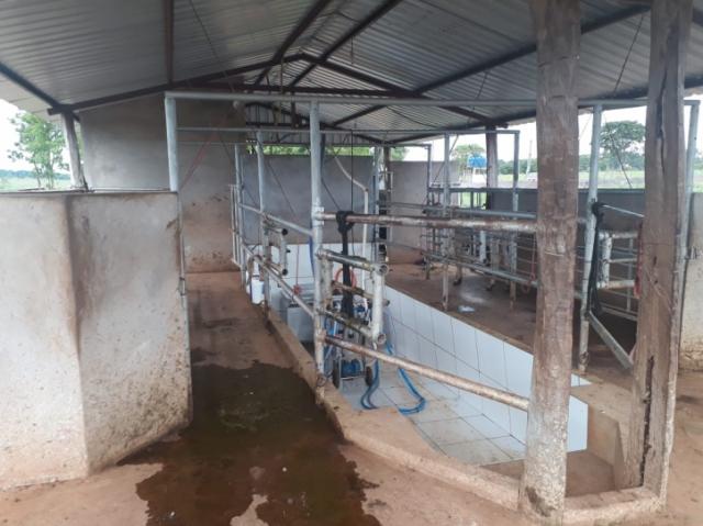 FAZENDA A VENDA EM NIOAQUE - MS (Pecuária) - Foto 8