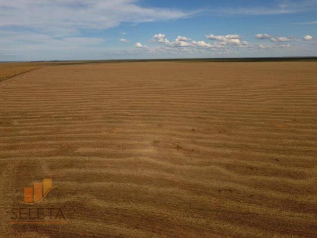 Fazenda à venda, 12650000 m² por r$ 16.000.000 - vila rica - barreiras/ba - Foto 5