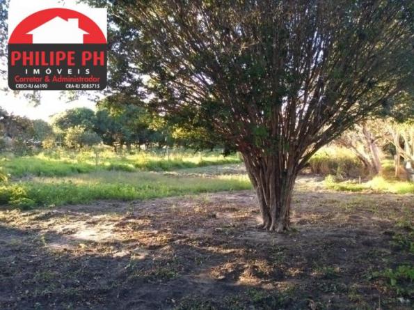 Mais do que viver bem, um projeto de vida! - Foto 7