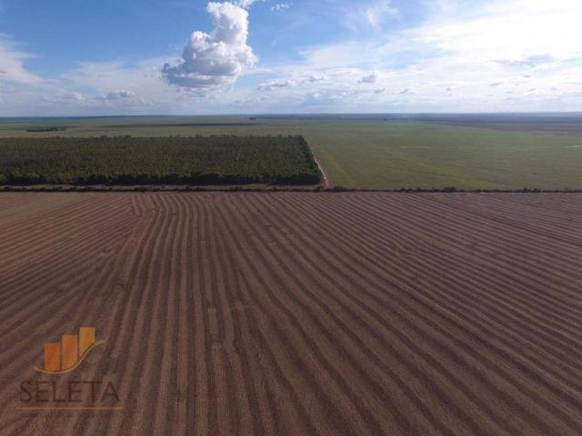 Fazenda à venda, 12650000 m² por r$ 16.000.000 - vila rica - barreiras/ba - Foto 10