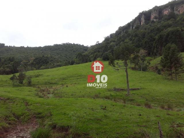 Terreno de 30 alqueires em ponte alta - sc - Foto 7