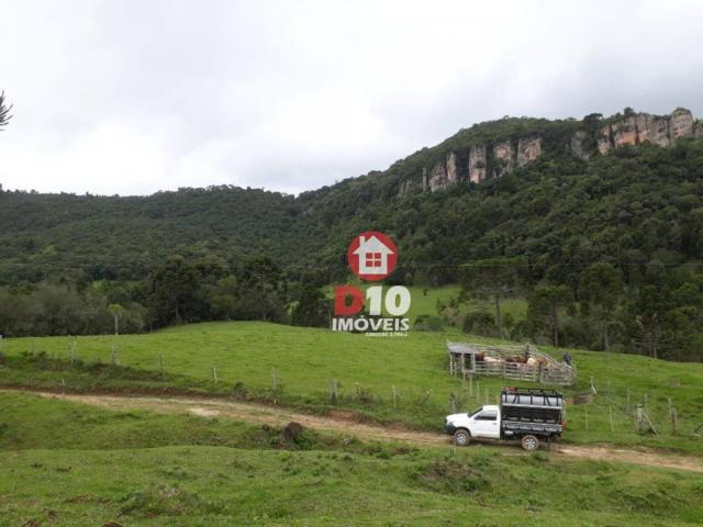 Terreno de 30 alqueires em ponte alta - sc - Foto 5